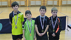 Stepčić, Mrkić, Bernaz i Šebelja