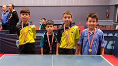 Stepčić, Mrkić, Riđić i Bernaz