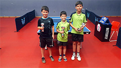 Bernaz, Mrkić i Stepčić